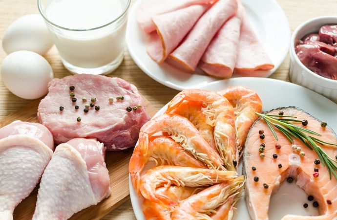 Białko a nerki – Czy nadmiar białka może szkodzić?